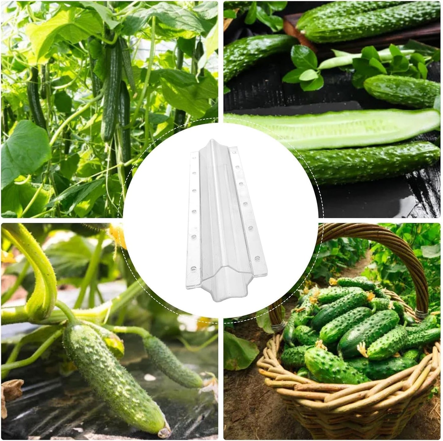 Creative Star-Shaped Mould for Fruits and Vegetables – Fun Shaping Tool for Cucumbers and More