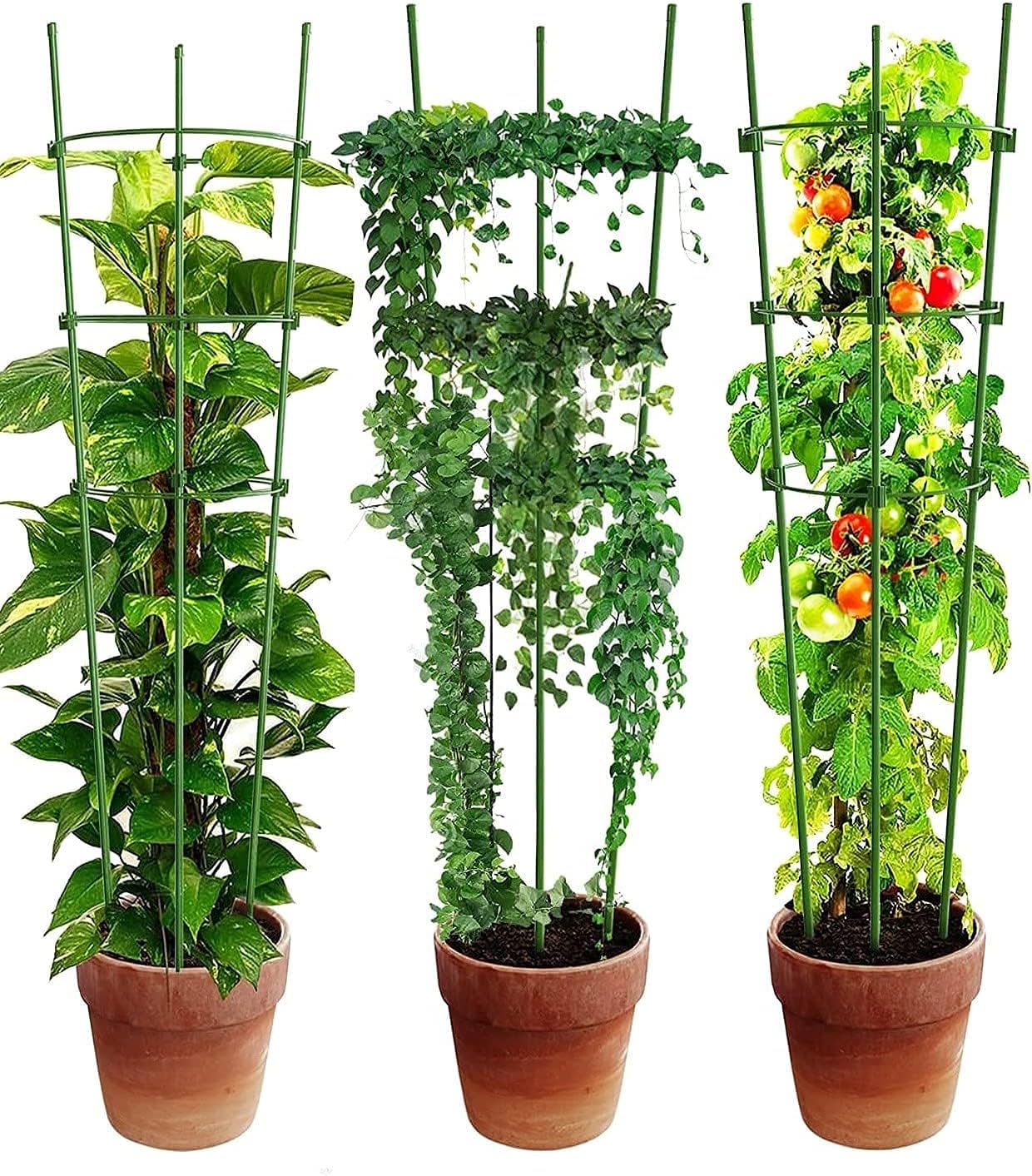 Plant Climbing Support Frame - Sturdy Ring Frame for Vining and Climbing Plants