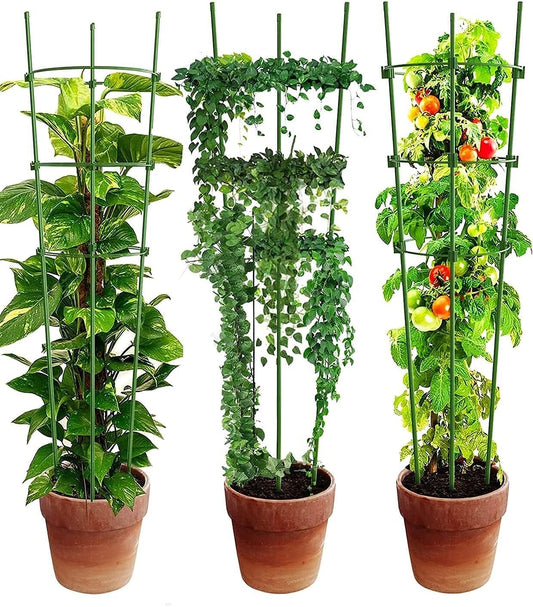 Plant Climbing Support Frame - Sturdy Ring Frame for Vining and Climbing Plants