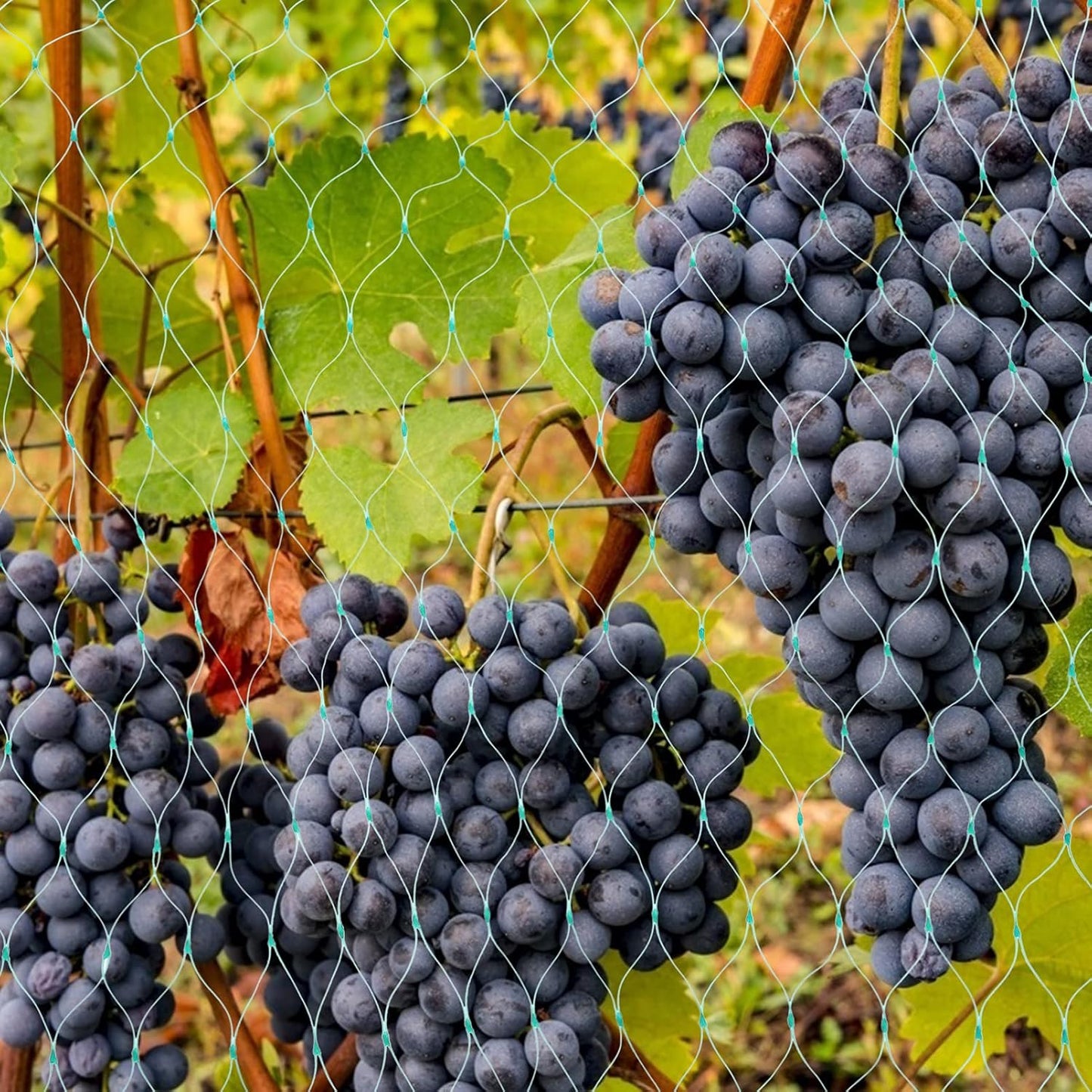 Garden Plant Protection Netting – Green Mesh to Shield Against Pests and Animals