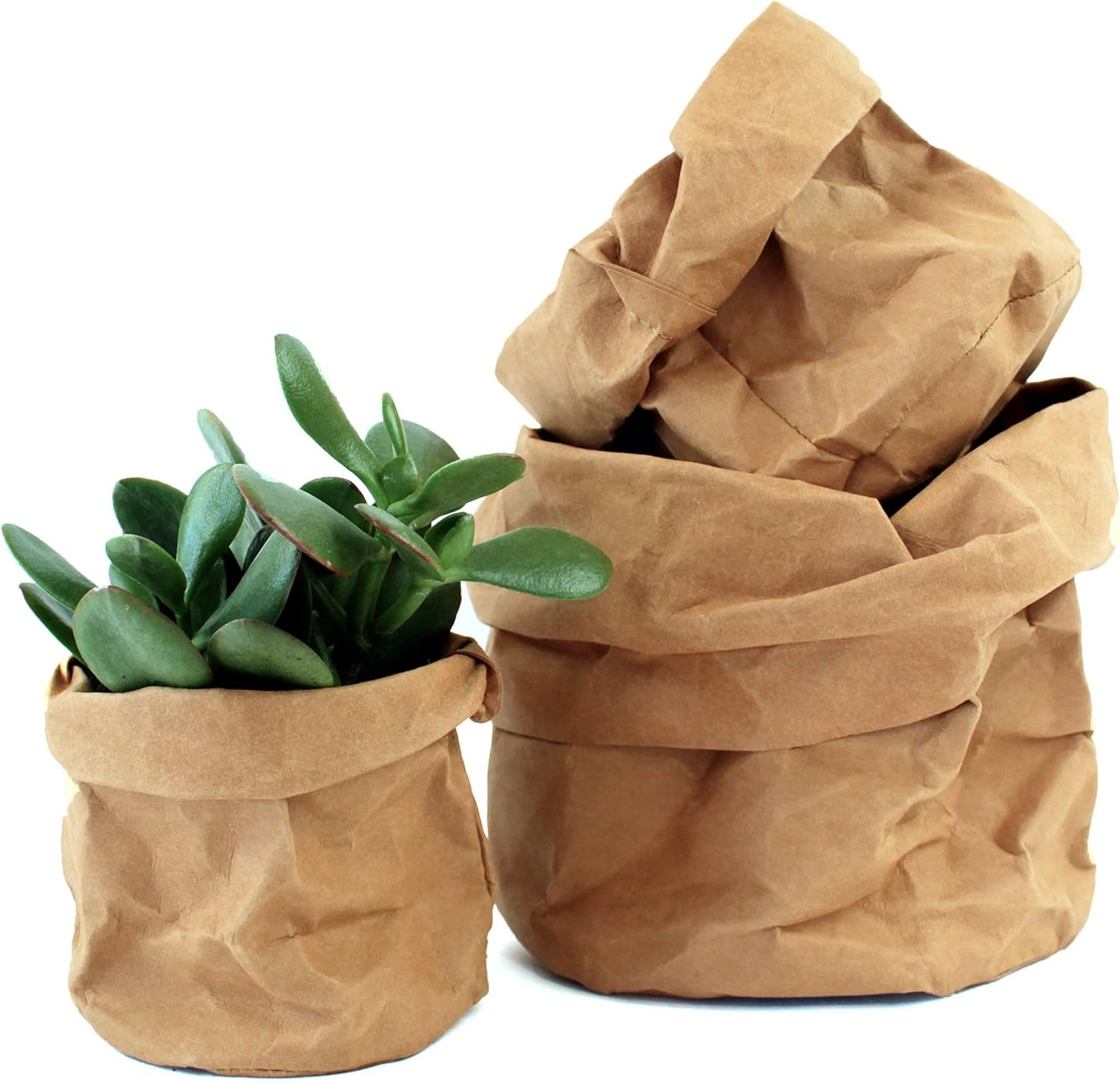 Eco-Chic Paper Plant Pots – Decorative Planters for Contemporary Interiors