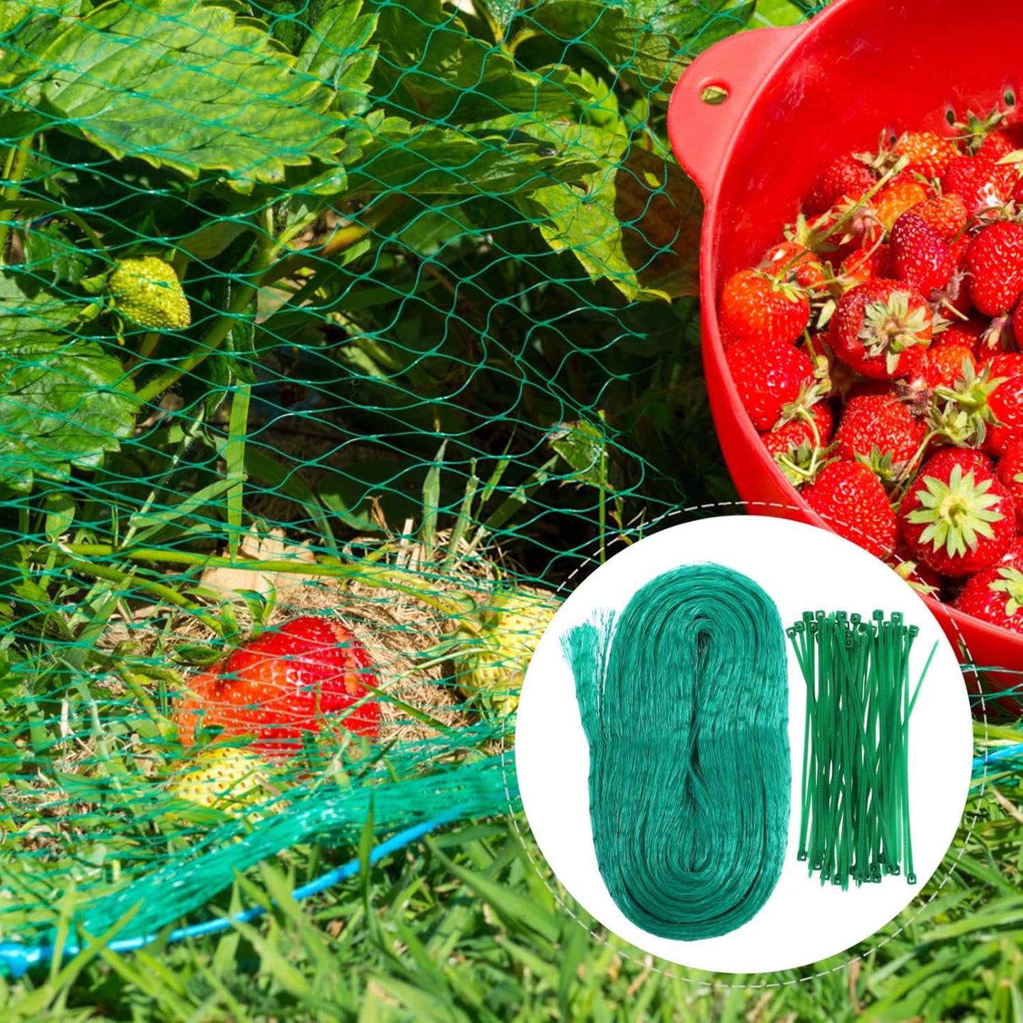 Garden Plant Protection Netting – Green Mesh to Shield Against Pests and Animals