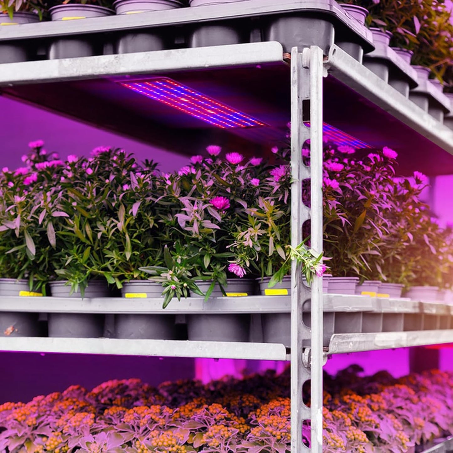 LED Plant Growth Light Panel – Adjustable Quantum Lighting for Enhanced Growth and Vibrant Colours