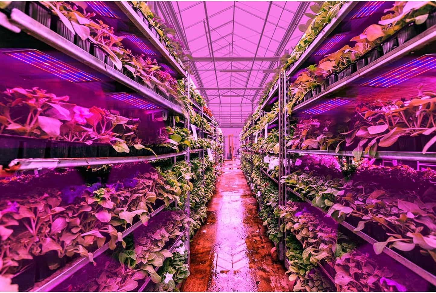 LED Plant Growth Light Panel – Adjustable Quantum Lighting for Enhanced Growth and Vibrant Colours