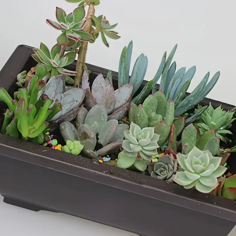 Rectangular Flower Pot with Tray – Durable Plant Container for Garden and Balcony