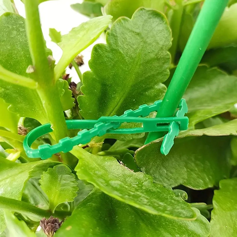 Plant Support Cable Tie Set - Secure and Stable Plant Fastening Solution