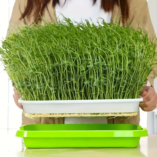 Seed Germination Tray with Lid – Double-Layer Plant Starter Tray for Efficient Growth