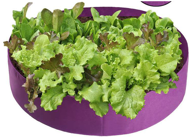 Circular Plant Growth Bag - Durable Garden Container for Healthy Plant Development