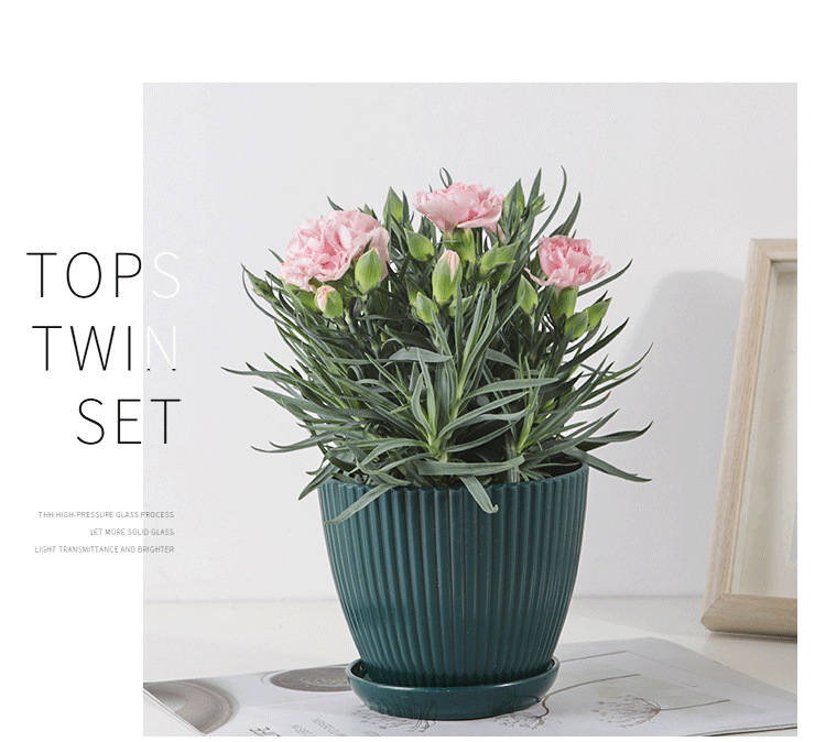 Sturdy Plastic Flower Pot with Grooved Design and Saucer - Durable Planter for Plants
