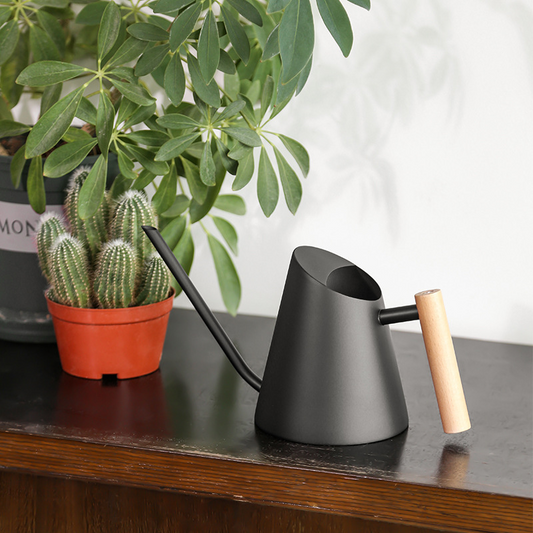 Contemporary Watering Can with Wooden Handle - Elegant Plant Watering Tool for the Garden