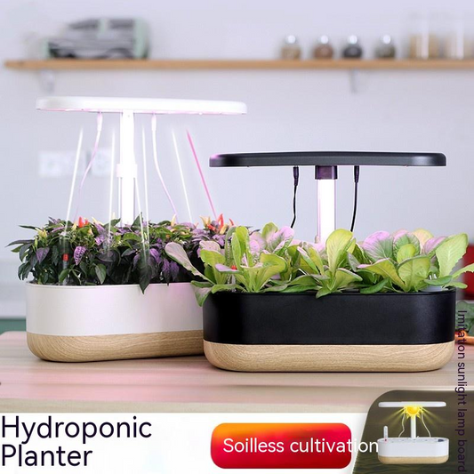 Smart Hydroponic System for Indoor Gardening - Soil-Free Plant Growth at Home