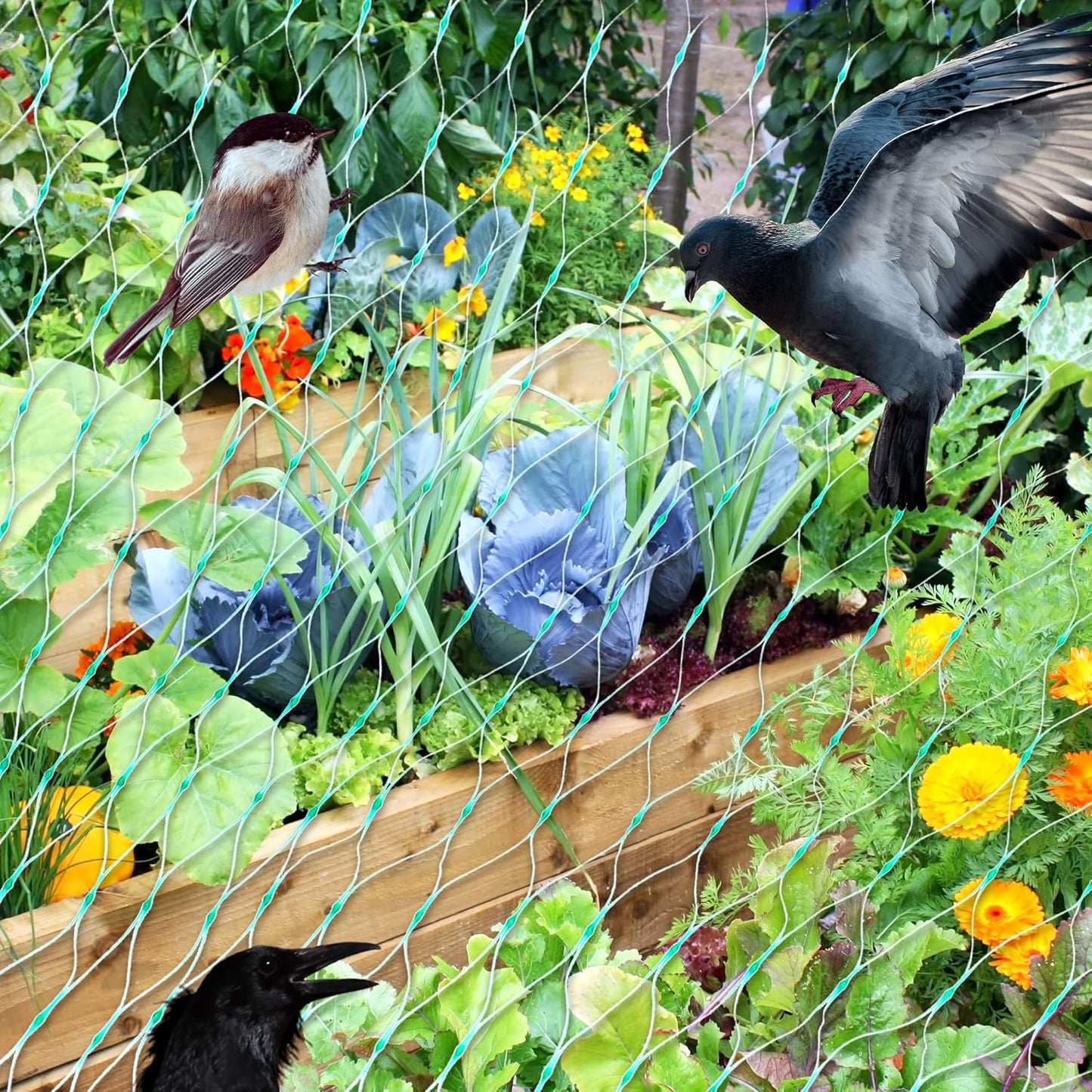 Garden Plant Protection Netting – Green Mesh to Shield Against Pests and Animals