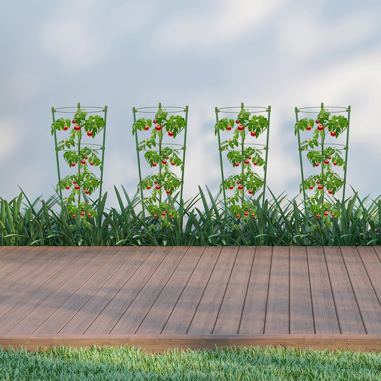 Plant Climbing Support Frame - Sturdy Ring Frame for Vining and Climbing Plants