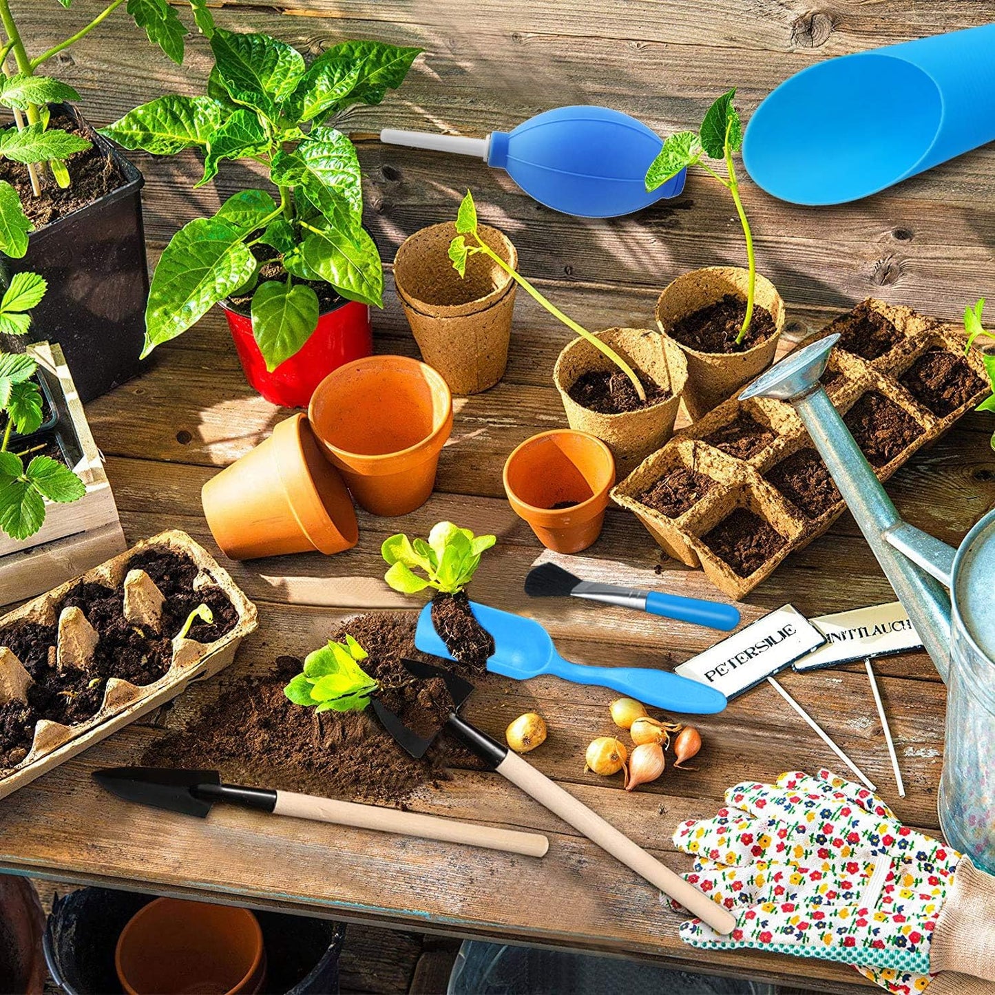 Mini Gardening Tool Kit for Succulents with Watering Bottle and Accessories