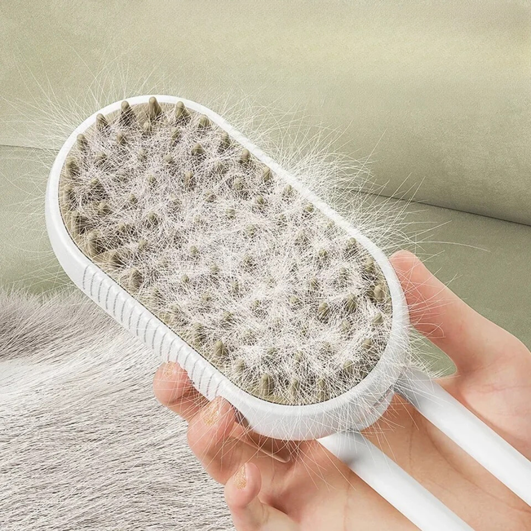 Steam Brush 2.0 for Pets