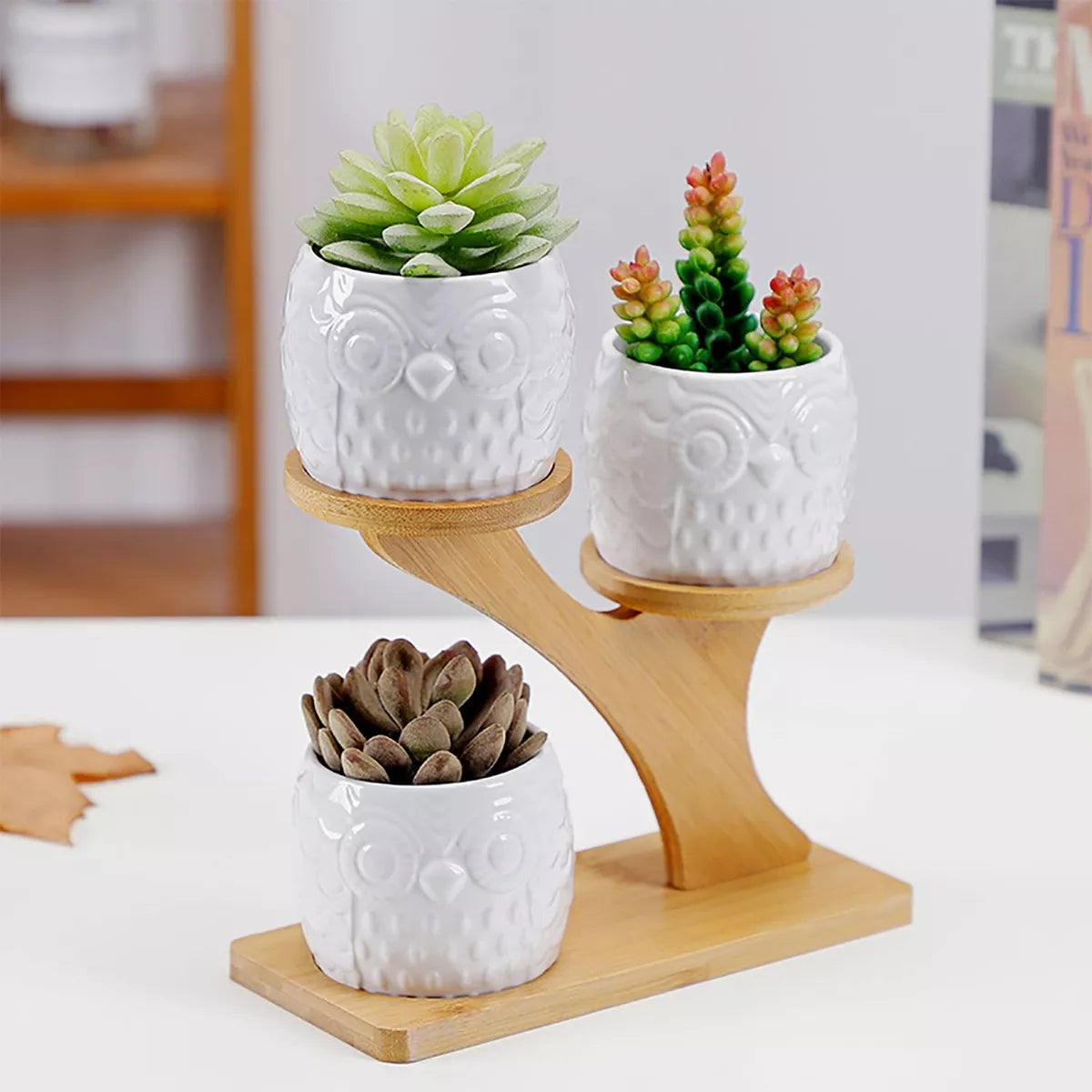 Wooden Plant Stand with Owl Design – Decorative Holder for Succulents and Houseplants