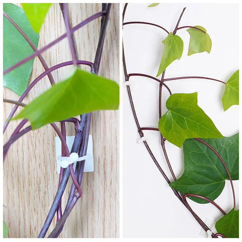 Wall Mount Clips for Climbing Plants – Durable Holders for Vertical Garden Decoration
