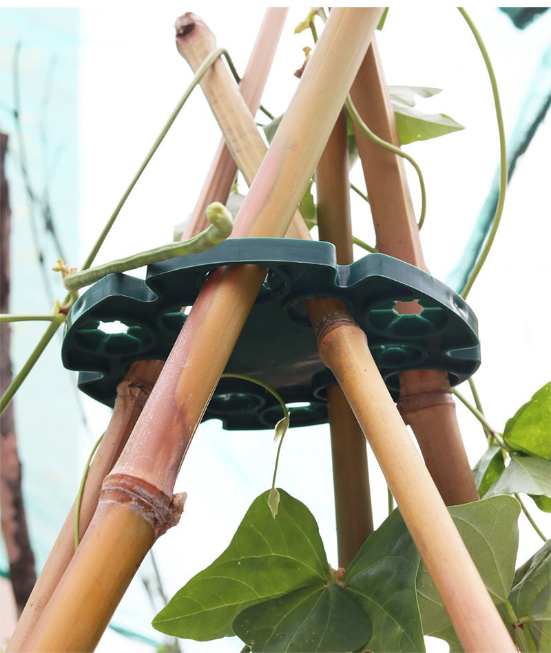 Bamboo Plant Support Ring - Sturdy Climbing Support for Tomatoes and Vining Plants