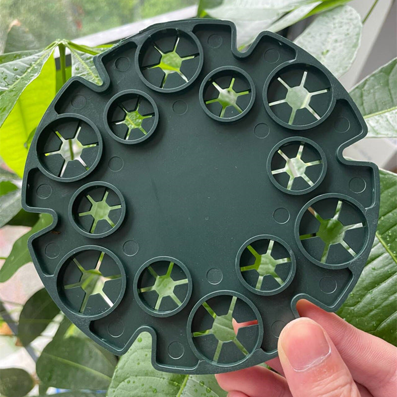 Bamboo Plant Support Ring - Sturdy Climbing Support for Tomatoes and Vining Plants