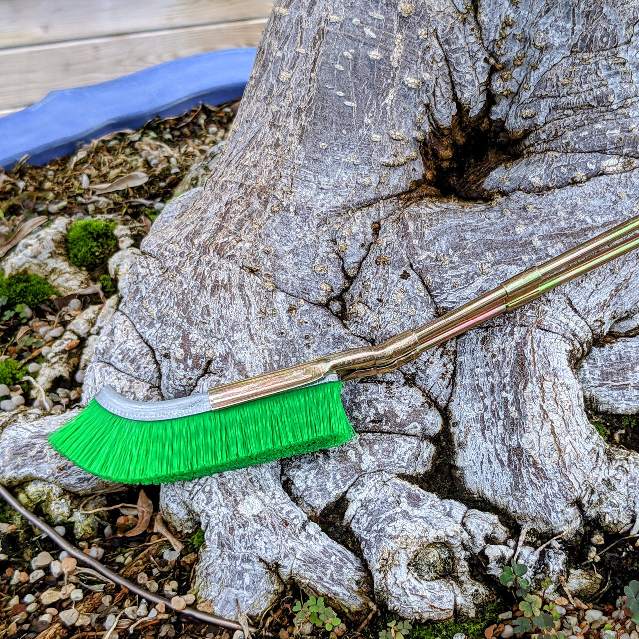 Bonsai Trunk Cleaning Nylon Brush - Garden Care Tool for Detailed Maintenance