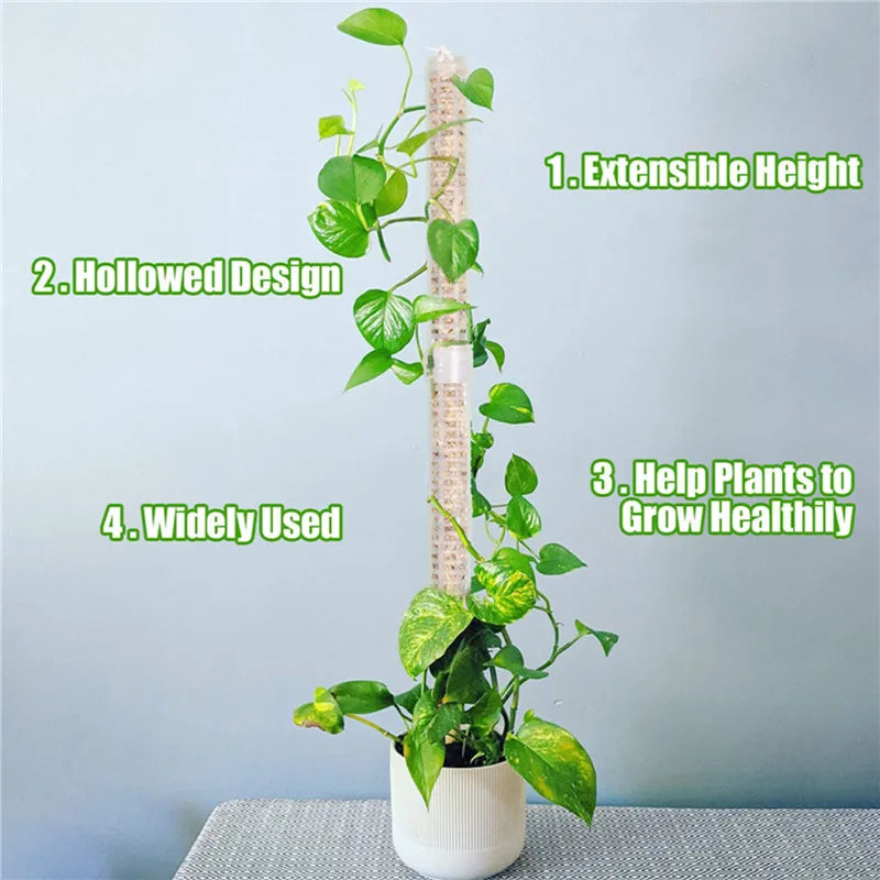 Climbing Plant Support Pillars - Vertical Garden Stakes for Green Plants and Vines
