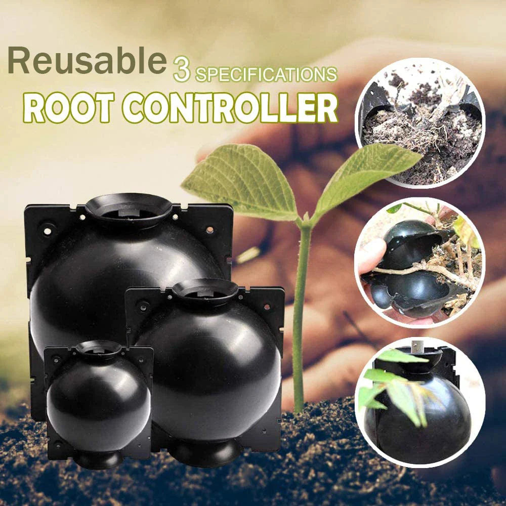 Root Protection Caps for Plants – Safety Covers for Transplanting and Healthy Growth