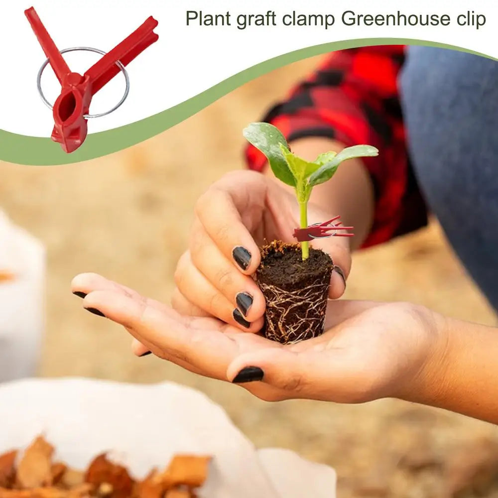 Plastic Grafting Clips for Plants - Perfect for Garden Vegetables and Plant Care