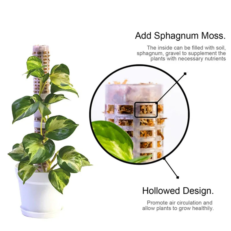 Climbing Plant Support Pillars - Vertical Garden Stakes for Green Plants and Vines