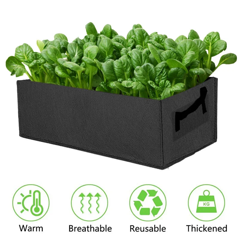 Collapsible Felt Plant Container with Carry Handles for Indoor and Outdoor Use