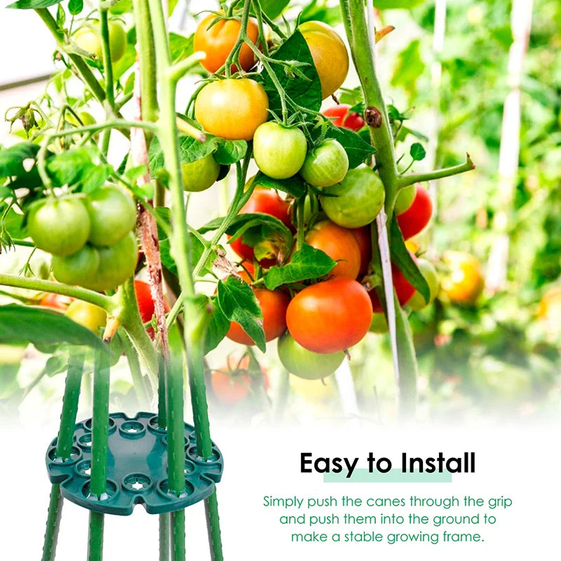 Bamboo Plant Support Ring - Sturdy Climbing Support for Tomatoes and Vining Plants