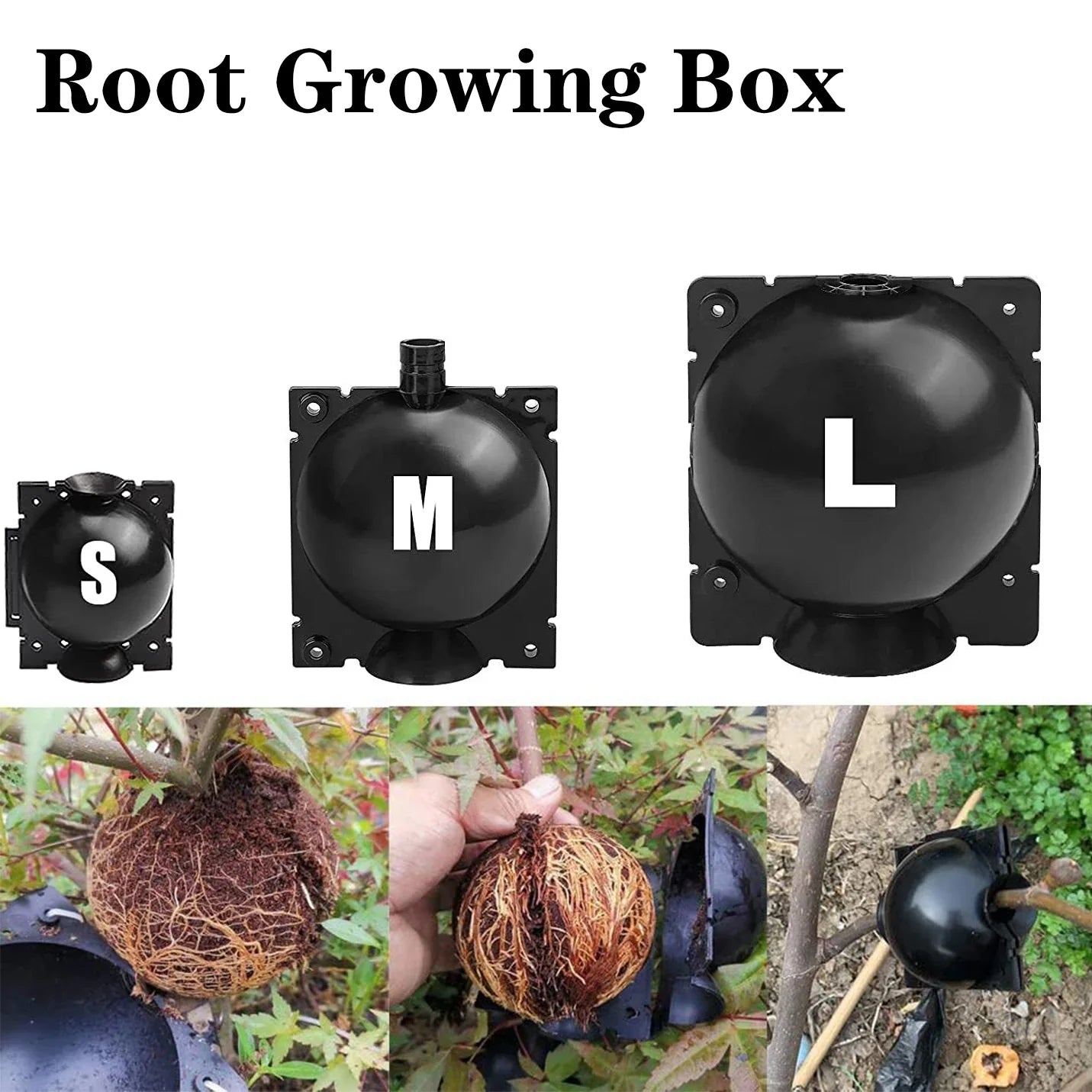 Root Protection Caps for Plants – Safety Covers for Transplanting and Healthy Growth