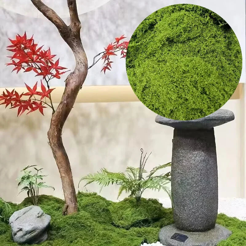 Moss Decoration Piece - Natural Moss Flake for Landscaping and Decorative Accents