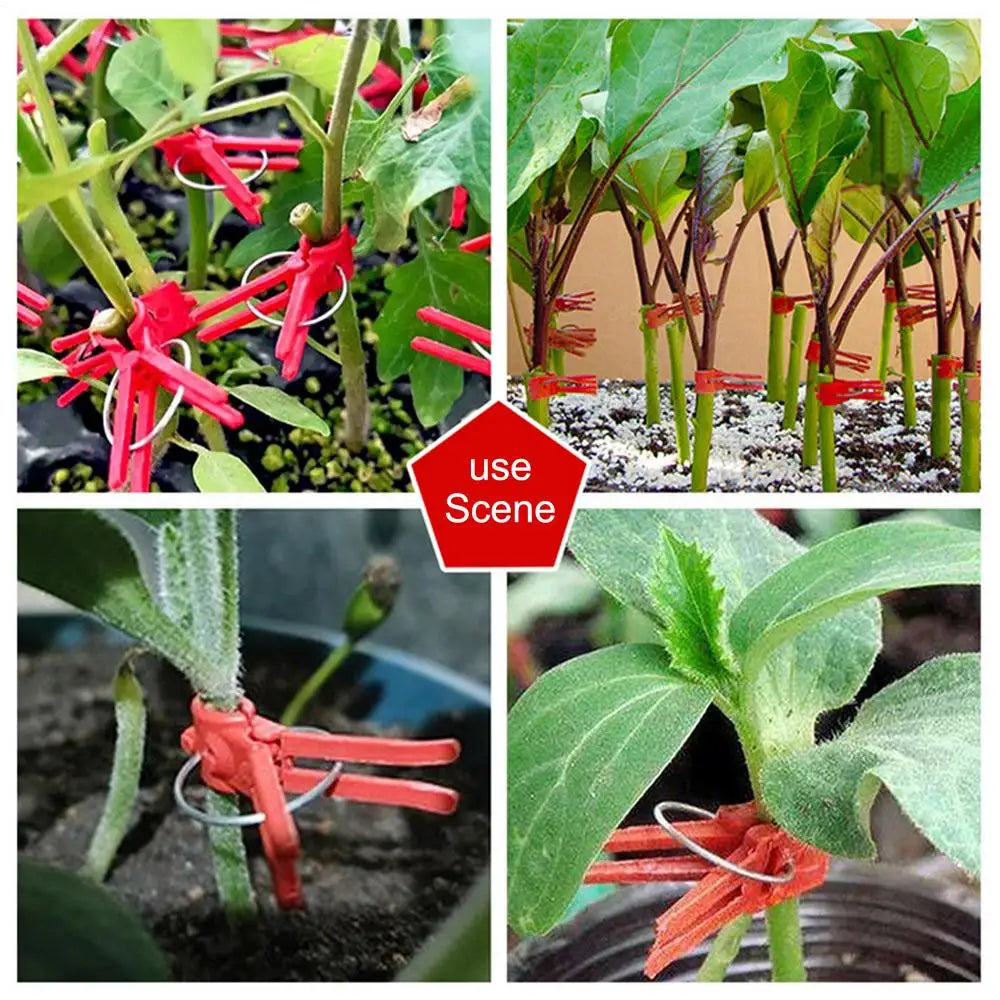 Plastic Grafting Clips for Plants - Perfect for Garden Vegetables and Plant Care