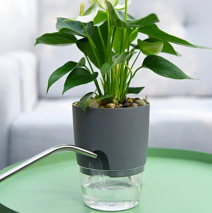 Self-Watering Plant Pot