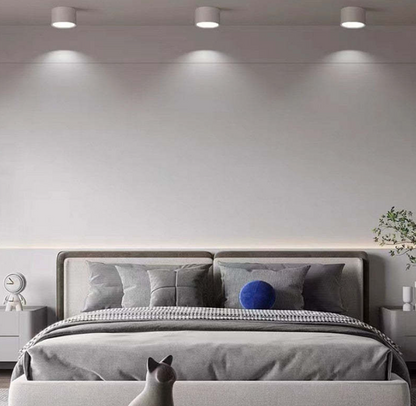 Modern Morandi LED Ceiling Light