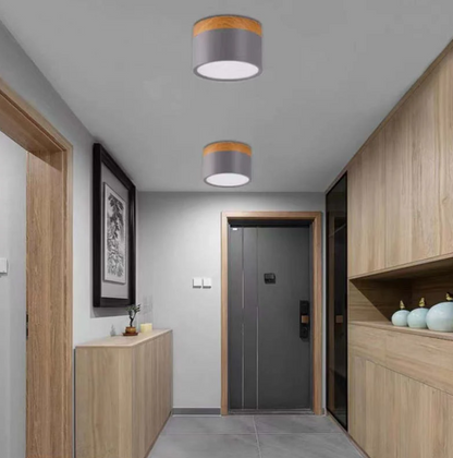 Modern Morandi LED Ceiling Light