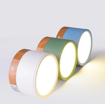 Modern Morandi LED Ceiling Light