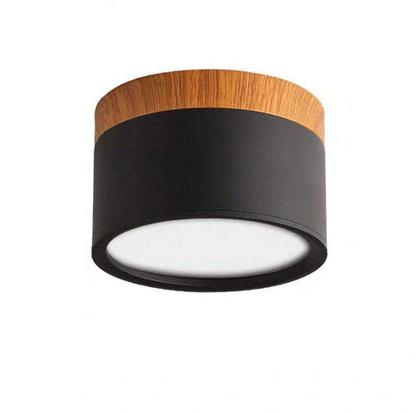 Modern Morandi LED Ceiling Light