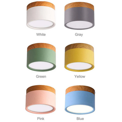 Modern Morandi LED Ceiling Light