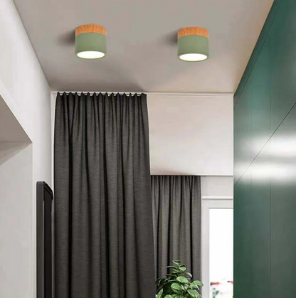Modern Morandi LED Ceiling Light