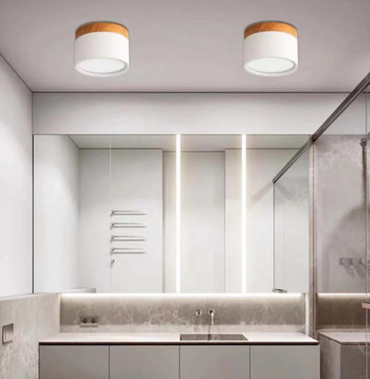 Modern Morandi LED Ceiling Light