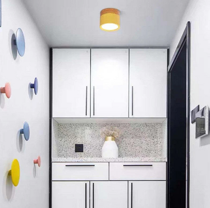 Modern Morandi LED Ceiling Light