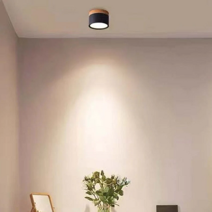 Modern Morandi LED Ceiling Light