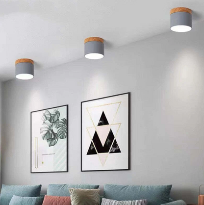 Modern Morandi LED Ceiling Light