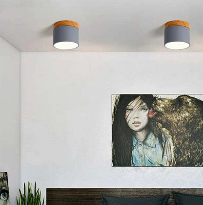 Modern Morandi LED Ceiling Light