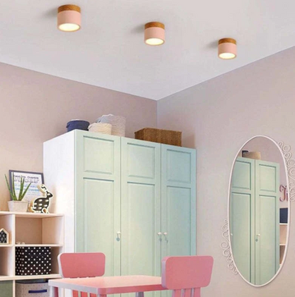 Modern Morandi LED Ceiling Light