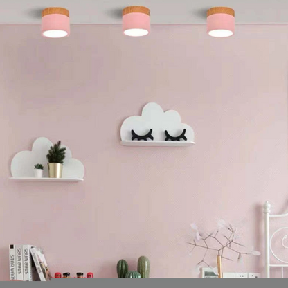 Modern Morandi LED Ceiling Light