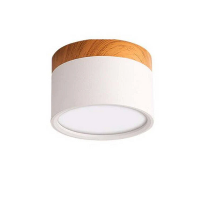Modern Morandi LED Ceiling Light