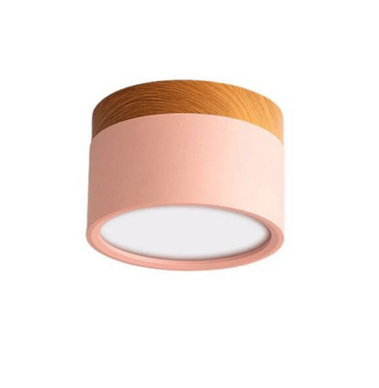 Modern Morandi LED Ceiling Light