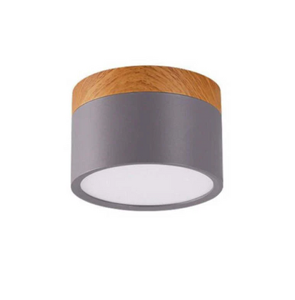 Modern Morandi LED Ceiling Light